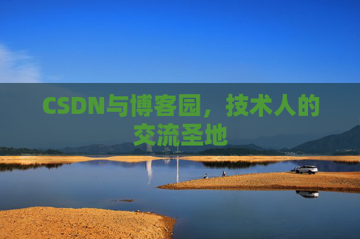 CSDN与博客园,技术人的交流圣地